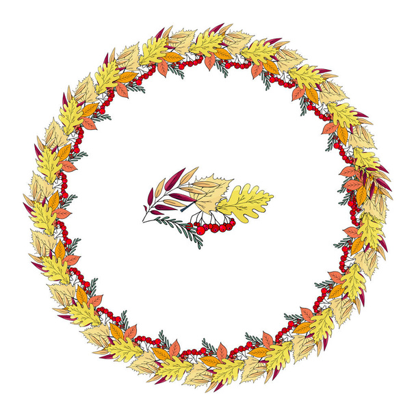 Wreath of hand drawn mountain ash and autumn leaves on a white background - Вектор,изображение