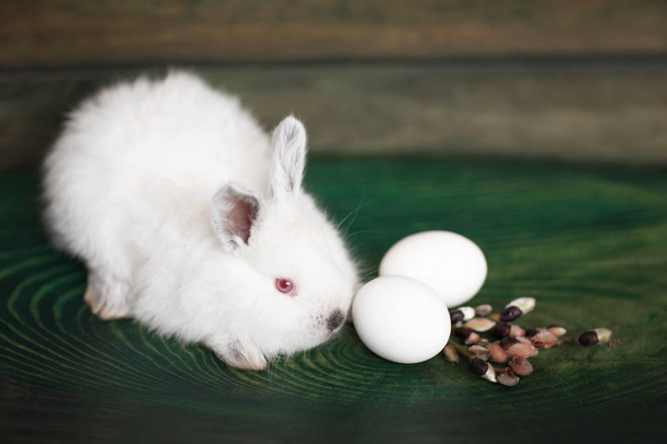 Пасхальное яйцо, ветви ивы и белый кролик на деревянной поверхности. Вид сверху
 - Фото, изображение