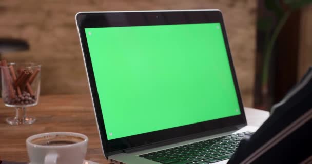 Kijken naar de laptop met een groen scherm op in een kleine bar - Video