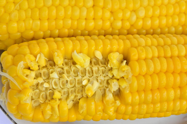 Gotowana kukurydza z bliska  - Zdjęcie, obraz