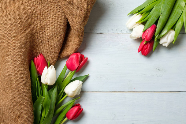 Bunch of red and white tulips with burlap fabric on light blue wooden table . Banner mockup for easter, womans day, mothers day, spring holidays - Fotografie, Obrázek