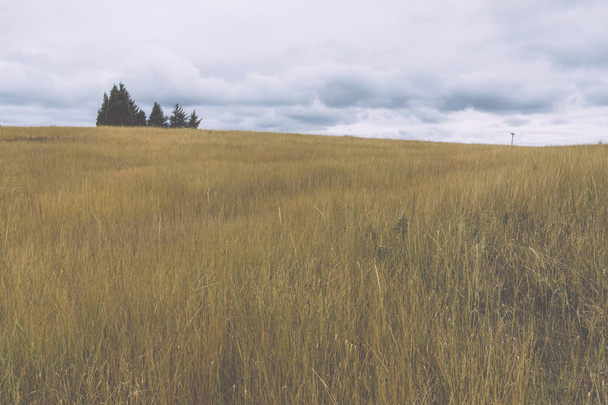 Näkymä vehnäpelloille osoitteesta Steptoe Butte, Palouse Valley, Eastern Washington State
. - Valokuva, kuva