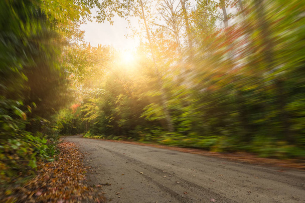 επαρχιακό δρόμο μέσω σφενδάμι δάσος το φθινόπωρο, Καναδάς. - Φωτογραφία, εικόνα