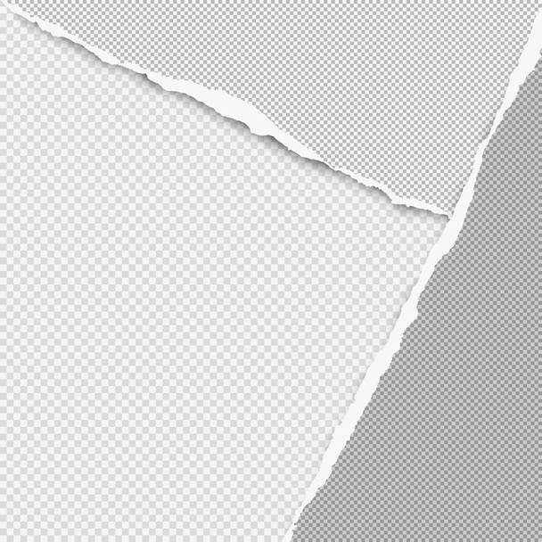 Torn squared grey paper in corners are on background with space for text. Vector illustration - Vector, Image