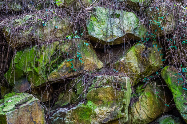 kaunis kuvio suuria kiviä peitetty vihreä sammalta ja kasveja, luonnollinen tausta - Valokuva, kuva