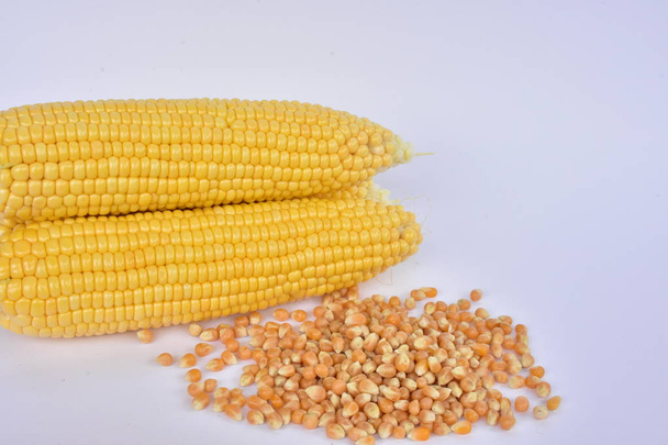 cabezas y semillas de maíz crudo
  - Foto, imagen