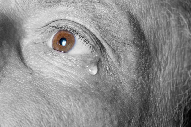 Eye of sad man with tear black and white photography with color brown eyes - Photo, Image
