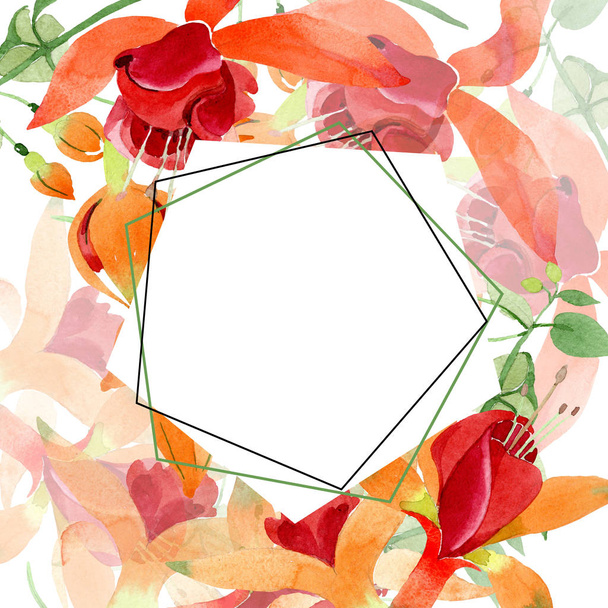 rot orange fuchsia floral botanische Blume. Aquarell Hintergrundillustration Set. Rahmen Rand Ornament Quadrat. - Foto, Bild
