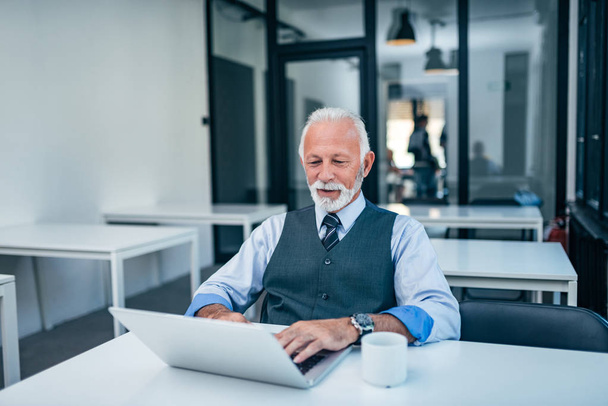 Elegant mature man using laptop in modern office. - Foto, immagini