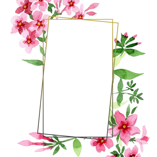 Pink phlox foral botanical flower. Watercolor background illustration set. Frame border ornament square. - Foto, immagini