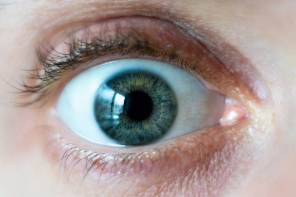 Detail na mužské oko dokořán zelené - Fotografie, Obrázek