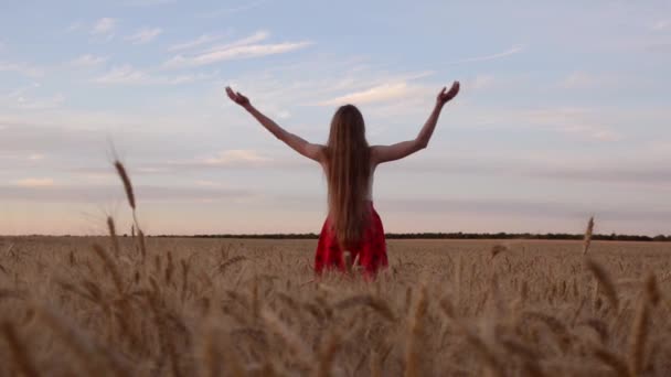 Mädchen steht in einem Weizenfeld, die Hände hinter dem Kopf, der Nachthimmel von hinten gesehen - Filmmaterial, Video