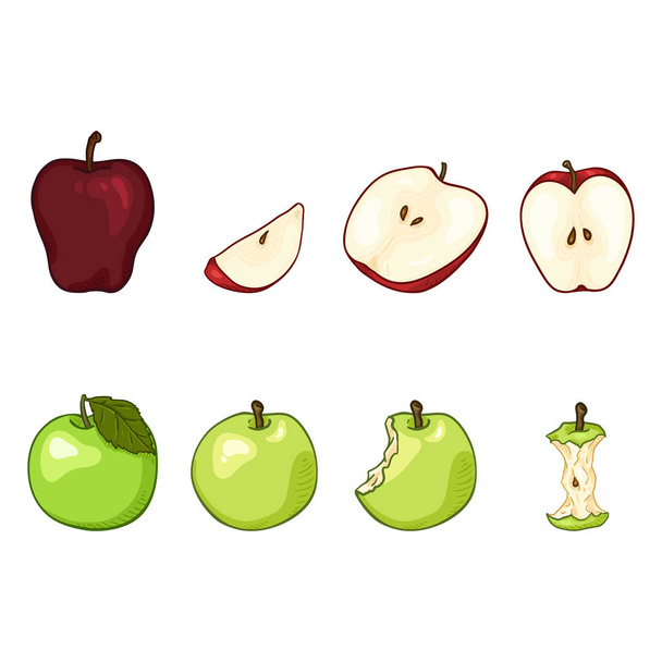 Wektor zestaw kreskówka czerwone i zielone jabłko ilustracje. Całe, cięte i ugryziony owoców. - Wektor, obraz