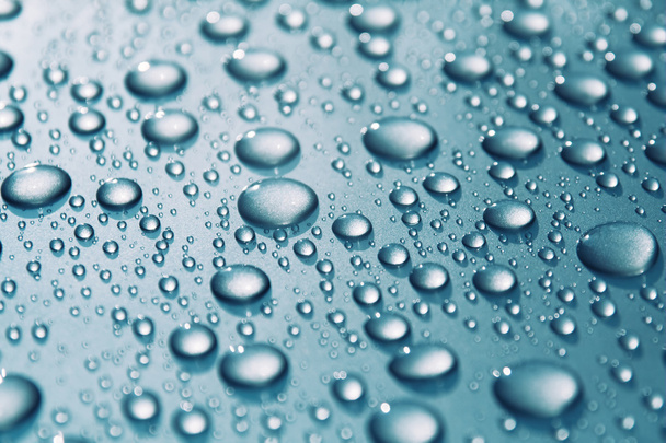 Water drops - Фото, изображение