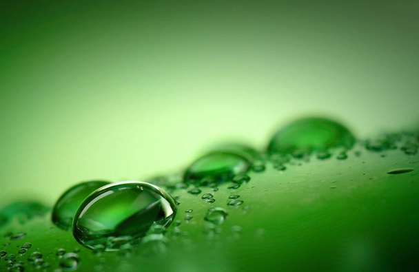 Gocce d'acqua macro su un verde
. - Foto, immagini
