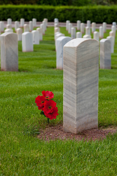 Flores de amapola roja colocadas junto a una lápida militar en el Cementerio Nacional Hot Springs en Dakota del Sur
. - Foto, imagen