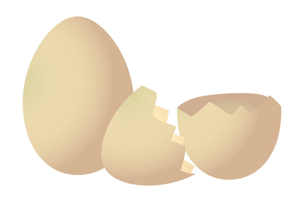 Hühnereierschalen-Cartoon - Vektor, Bild