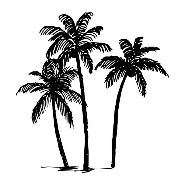 Kézzel rajzolt vázlat palm logó illusztrációja a fehér háttér vektor - Vektor, kép