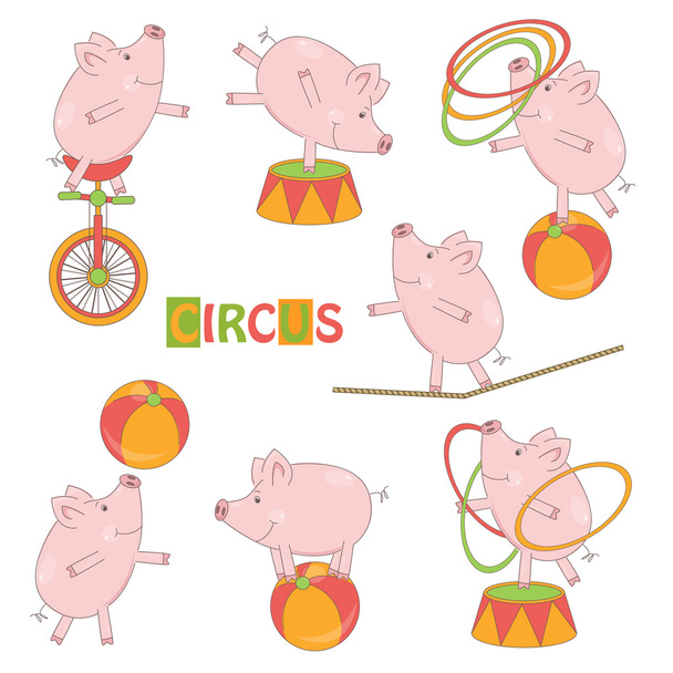Набір милих циркових маленьких свиней
 - Вектор, зображення