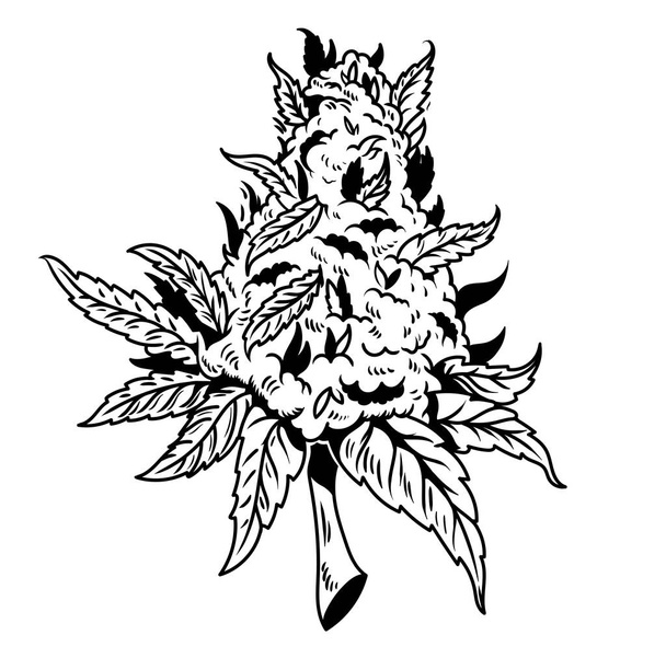 Cannabis tekening ontwerp  - Vector, afbeelding