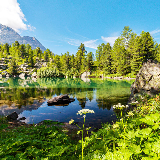 Göl Viola - Val di Campo - Poschiavo - İsviçre - Fotoğraf, Görsel