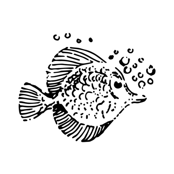 Vector Hand getrokken schets van vis illustratie op witte achtergrond - Vector, afbeelding