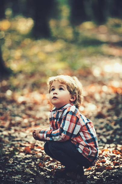 Little young caucasian boy in nature, childhood - 写真・画像