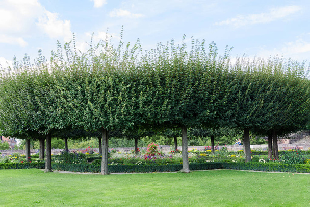Näkymä vihreä nurmikko pyöreän muotoinen puita ja kukkapenkkiin kukkia
 - Valokuva, kuva