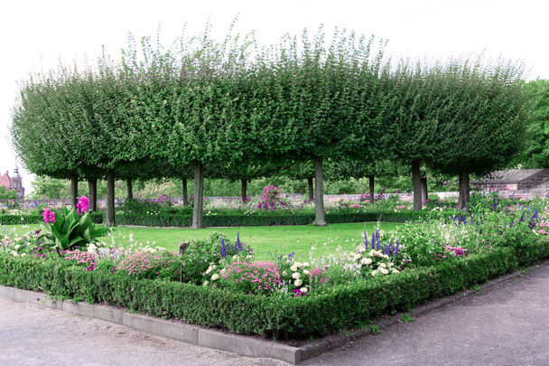 Вид на композицию из деревьев круглой формы и клумбу с цветами
 - Фото, изображение