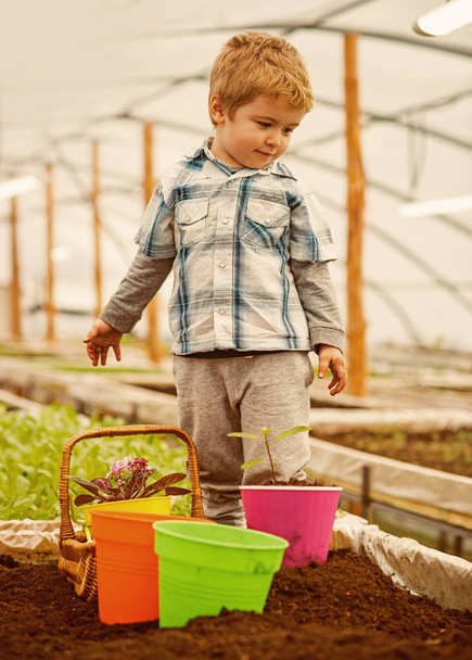 agriculture. small boy work in agriculture greenhouse. agriculture industry worker. having agriculture business - Φωτογραφία, εικόνα