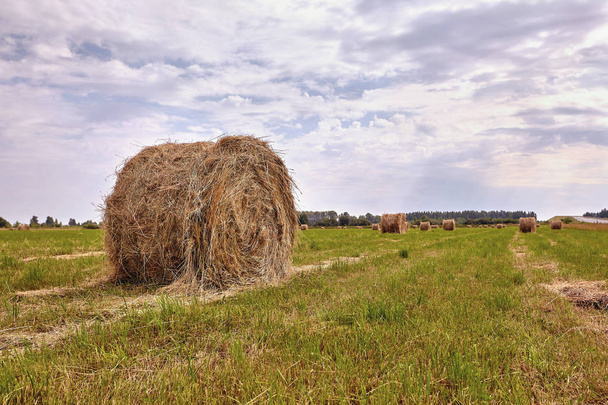 Haystack colheita agricultura campo paisagem. Agricultura campo palheiro vista
. - Foto, Imagem