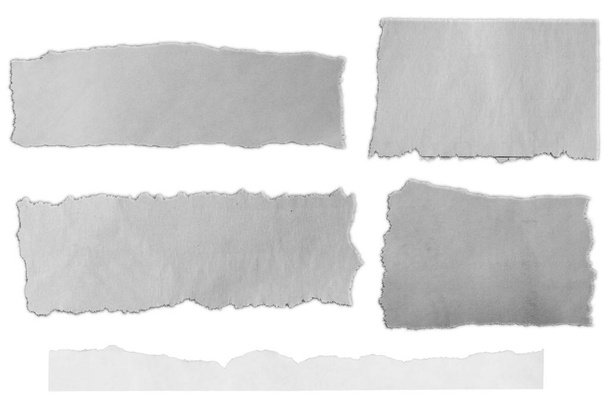 Trozos de papel desgarrado sobre fondo liso  - Foto, Imagen