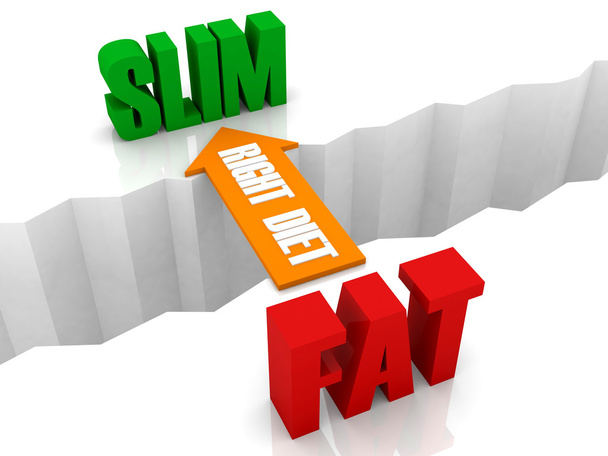 Right diet is the bridge from FAT to SLIM. Concept 3D illustration. - Photo, Image