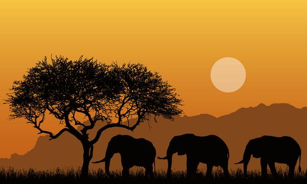 Illustration of silhouettes of mountain landscape of african safari with tree, grass and three elephants. Below the orange sky with the sun - vector - Vector, Image