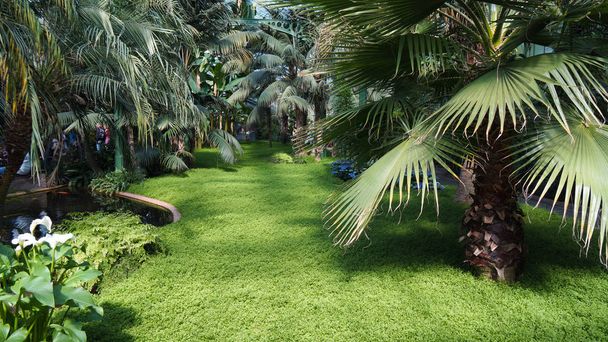 prairie en art déco maison de culture palmier et herbe Voyager en Allemagne
 - Photo, image
