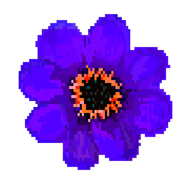 pixel πεδίο λουλούδι εικονογράφηση φορέα που απομονώνονται σε λευκό φόντο - Διάνυσμα, εικόνα