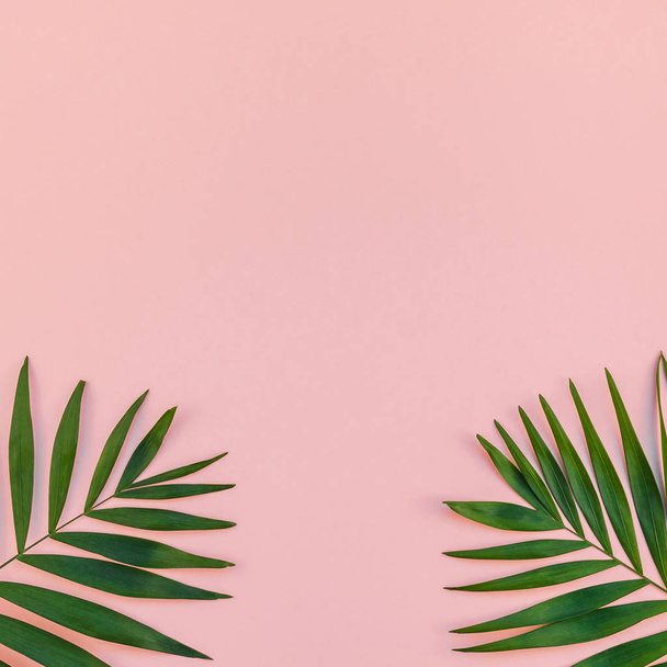 Creative flat lay top view of green tropical palm leaves millennial pink paper background with pineapples copy space. Minimal tropical palm leaf plants summer concept template for your text or design - Photo, Image