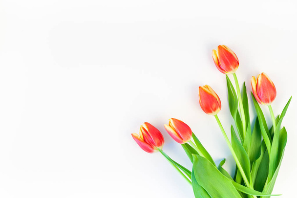 Kreatív lapos laikus felülnézet üdvözlik tavasszal üdvözlés kártya-val másol hely, fehér alapon piros tulipán virágok. Ünnepi képeslap sablont - Fotó, kép