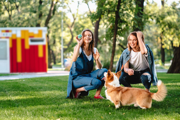 Twee vrouwelijke vriend in het park spelen met kleine hond - Foto, afbeelding