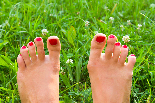 nohy na zelené trávě - Fotografie, Obrázek