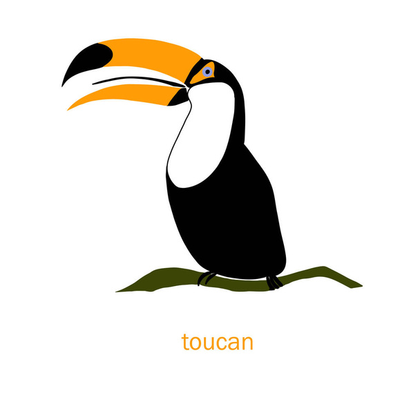 Conjunto bonito de caracteres de cores vetoriais tucano pássaro. Esboço robin em preto, cor laranja. Desenho de doodle animal da floresta, livro escandinavo isolado das crianças do desenho animado, têxtil, etiqueta, para a correia fotorreceptora
 - Vetor, Imagem