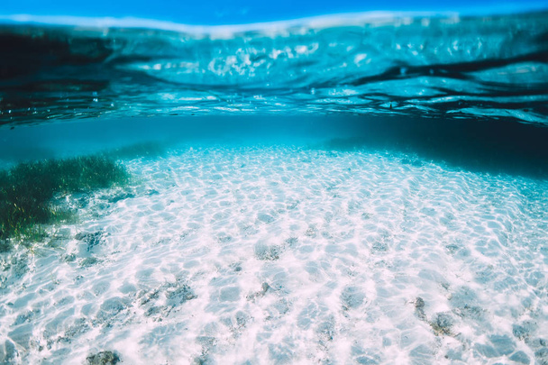 Τροπικό μπλε του ωκεανού με λευκή άμμο υποβρύχια σε Μπαχάμες - Φωτογραφία, εικόνα