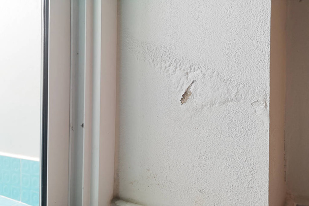 La humedad excesiva puede causar moho y pelar la pared de pintura, como fugas de agua de lluvia o fugas de agua
. - Foto, Imagen