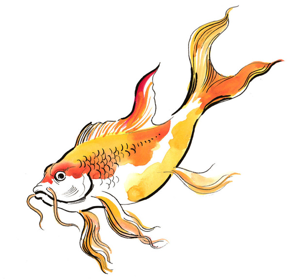 Altın balık. Mürekkep ve suluboya resim - Fotoğraf, Görsel