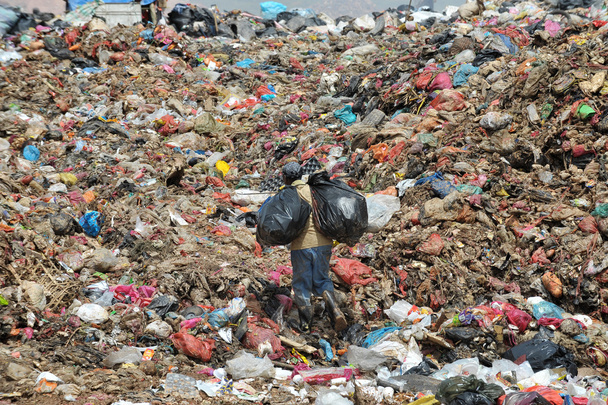 landfill worker do their works - Photo, Image
