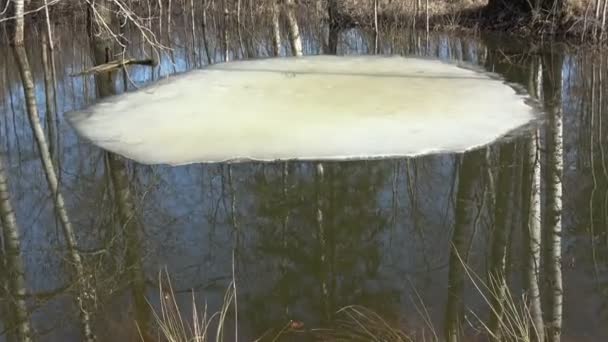 Laatste ijs- en wateroverstroming op kleine vijver in park - Video