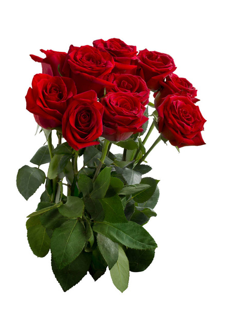 bouquet of red roses with green foliage - Zdjęcie, obraz