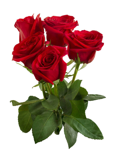bouquet of red roses with green foliage - Photo, Image