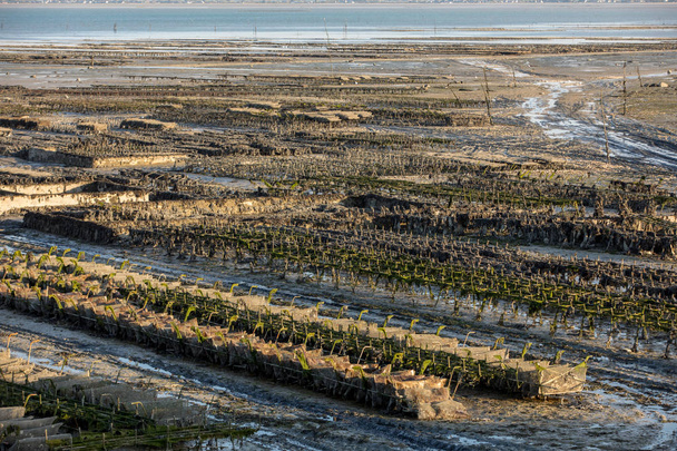Στρώματα στρειδιών με χαμηλή παλίρροια στο αγρόκτημα στρειδιών, Cancale, Brittany, France - Φωτογραφία, εικόνα