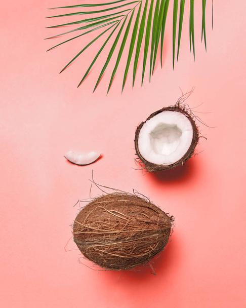 Composition from a palm green leaf and a coconut on a color background of the year 2019 Living Coral Pantone with space for the text. Creative layout for your ideas. Flat lay - Фото, зображення